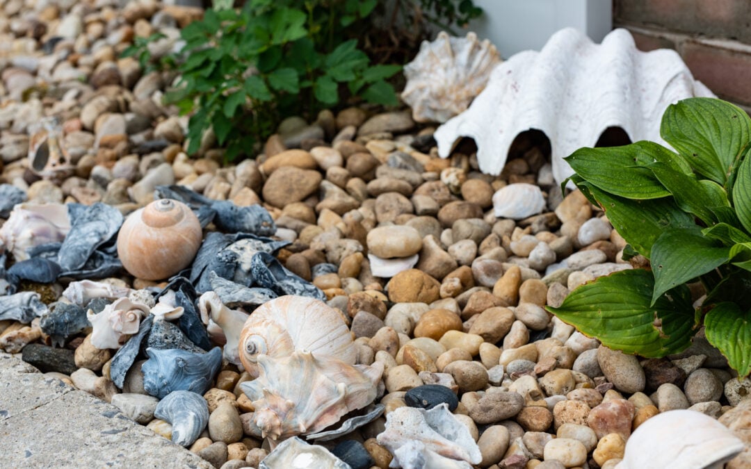 decorating with shells in the garden