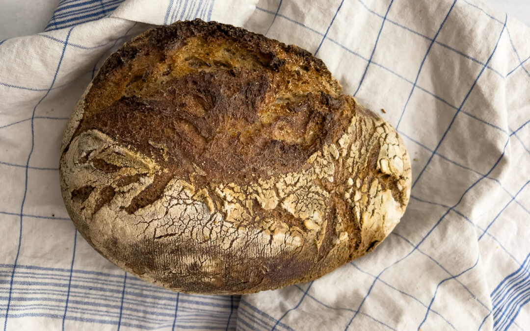 The Brot Box | homemade German bread