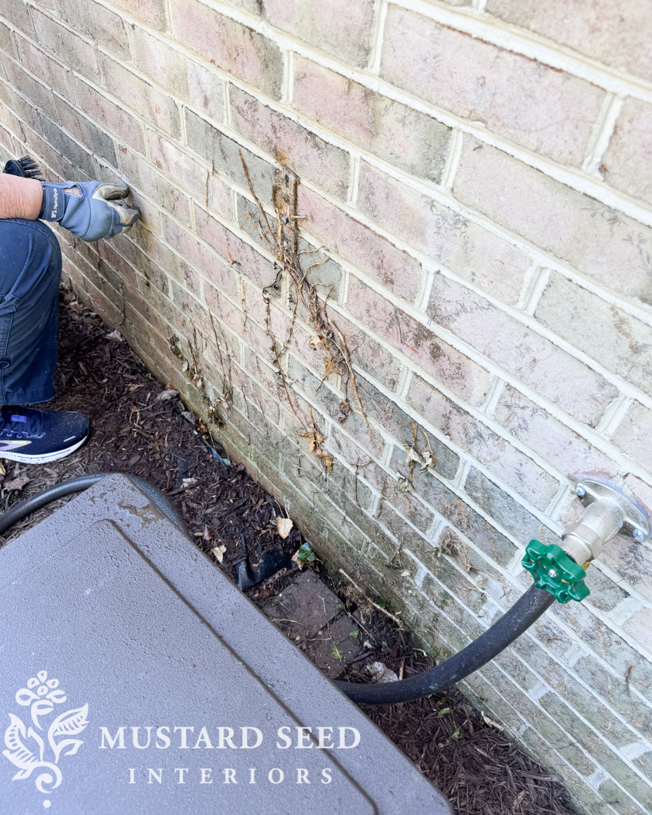 cleaning ivy roots and stains off of brick | miss mustard seed