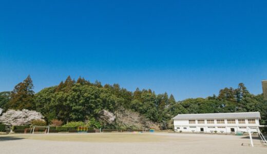 全国統一小学生テストに初挑戦。中学受験しなくても受ける意味はある？