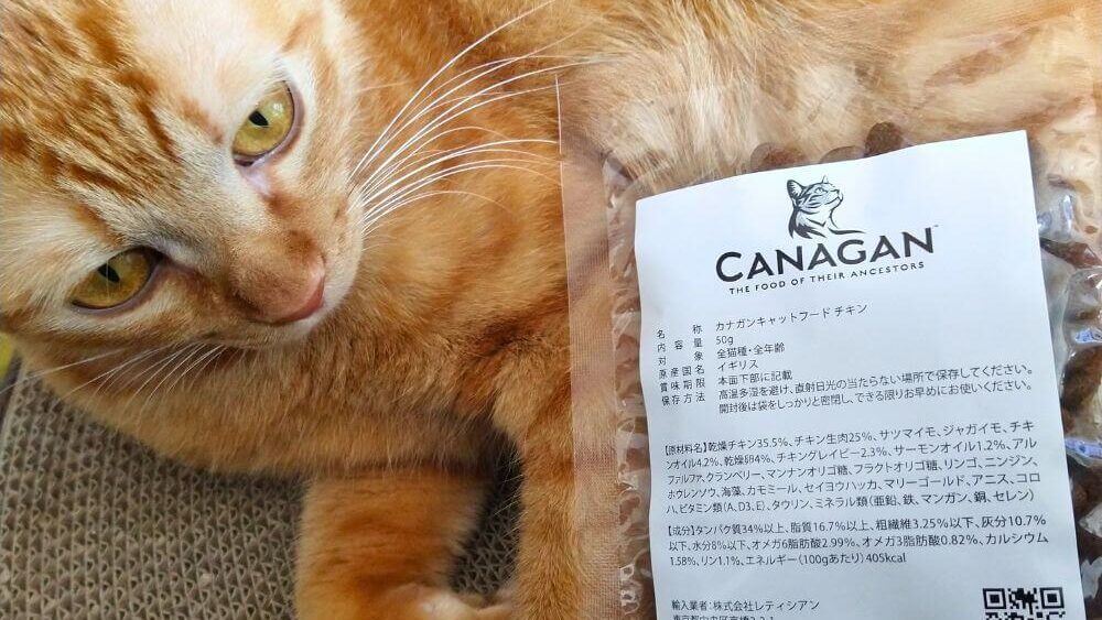 カナガンキャットフードと猫の画像