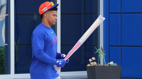 New York Mets outfielder Juan Soto