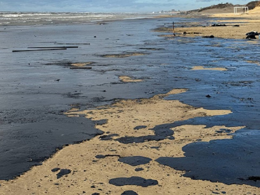 A beach near Anapa coated in spilled oil from the accident in the Kerch Strait. Photo: bloknotanap.ru