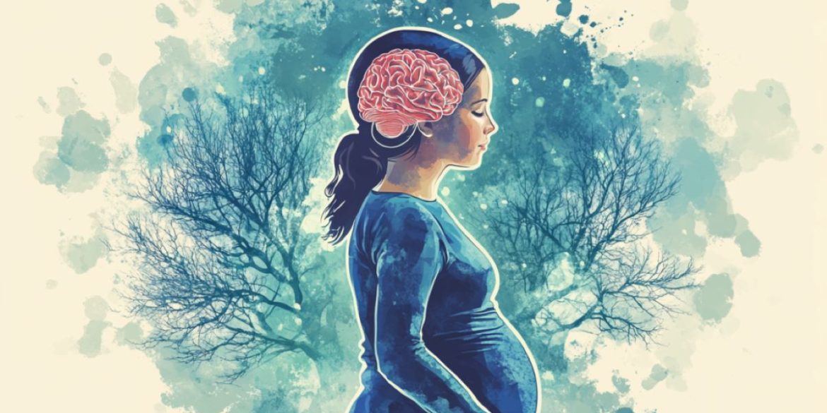 This shows a pregnant woman and a brain.