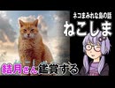 映画「ねこしま」を結月さん鑑賞する