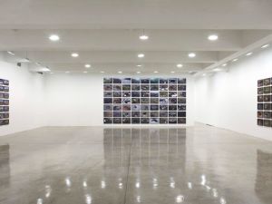 An installation view of the show. (Courtesy Tanya Bonakdar Gallery)