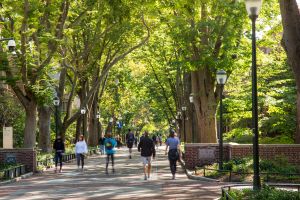 Students walk down tree-lined campus