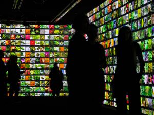 Shadowy figures watch bright colored projections on walls of gallery