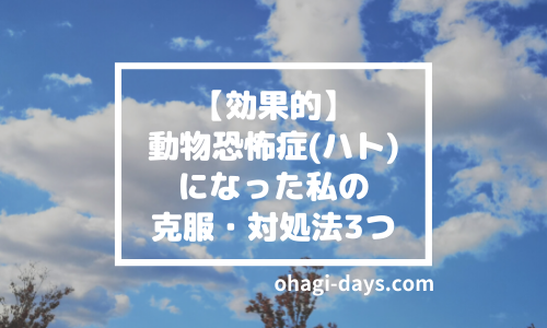 【効果的】鳩恐怖症になった私の克服法・対処法3つ