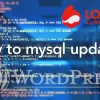 ロリポップ！データベース「MySQL5.6➡︎5.7」アップデートしてみた。【めっちゃはや！】