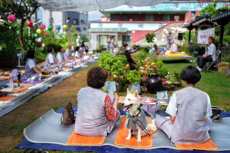 韓国のほぼ中央に位置する曽坪郡にある仏教寺院の一つ「弥勒寺」は、訪問者に犬の同伴を奨励している