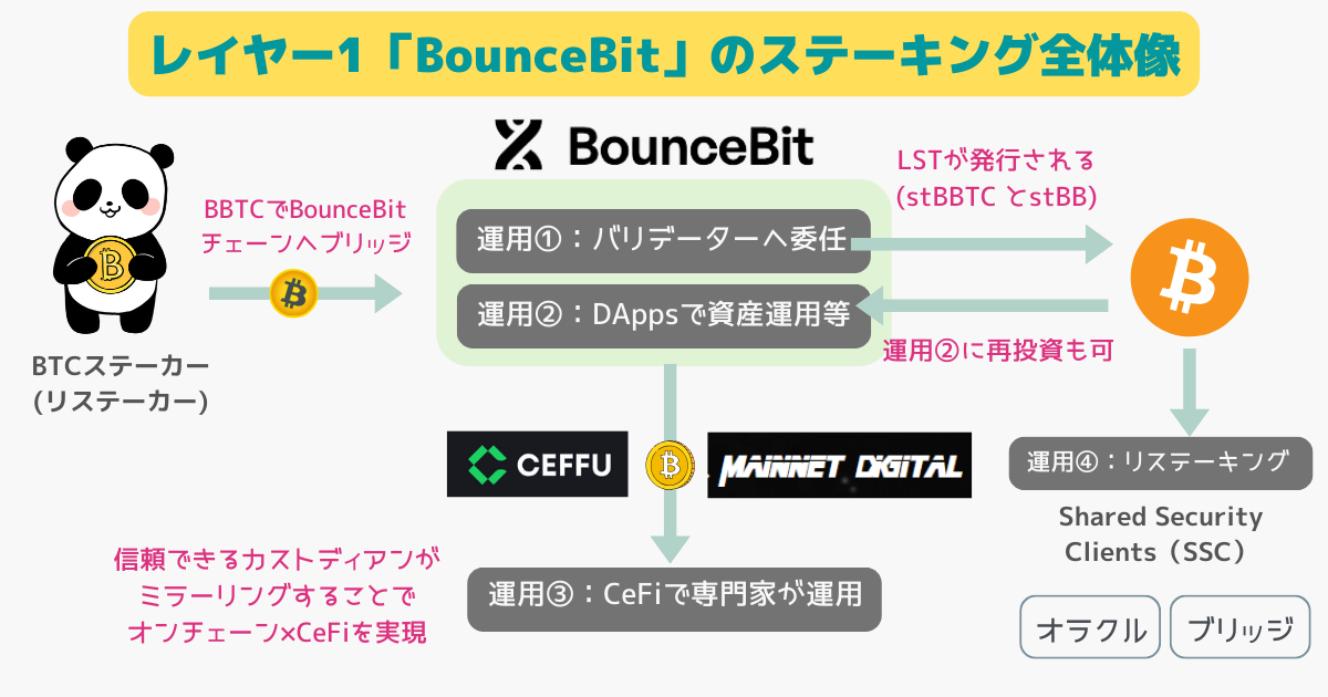 bouncebitのステーキング全体像