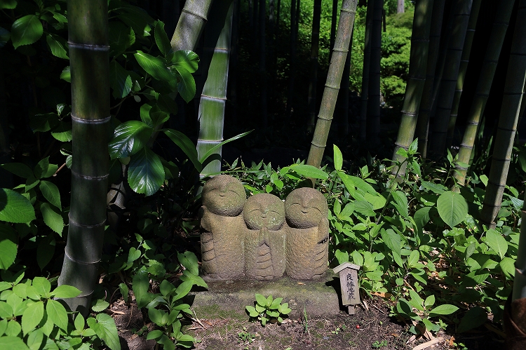 可愛いおじぞうさん　～鎌倉　長谷寺～_f0368904_10295617.jpg