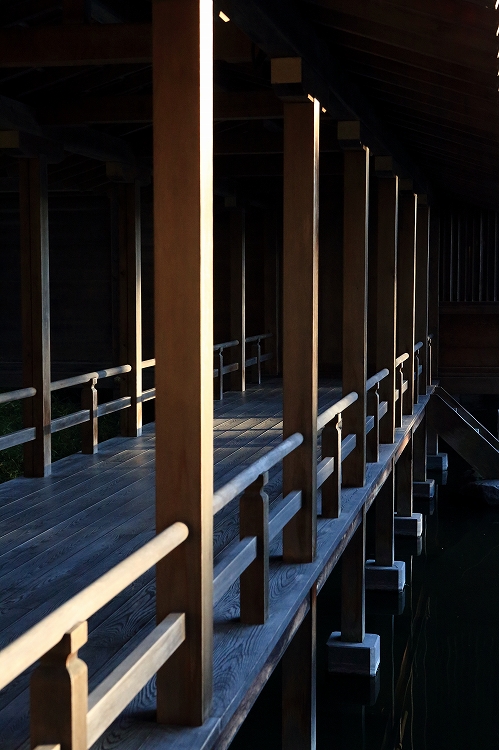 身曾岐神社　２_f0368904_747211.jpg