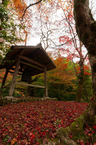 紅の山寺_e0366896_23260361.jpg