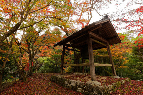 紅の山寺_e0366896_23260525.jpg