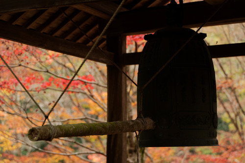 紅の山寺_e0366896_23261646.jpg