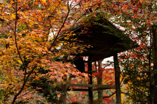 紅の山寺_e0366896_23261889.jpg