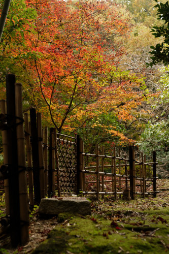 紅の山寺_e0366896_23264224.jpg