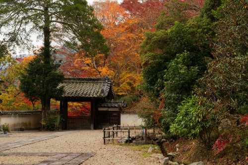 紅の山寺_e0366896_23264450.jpg