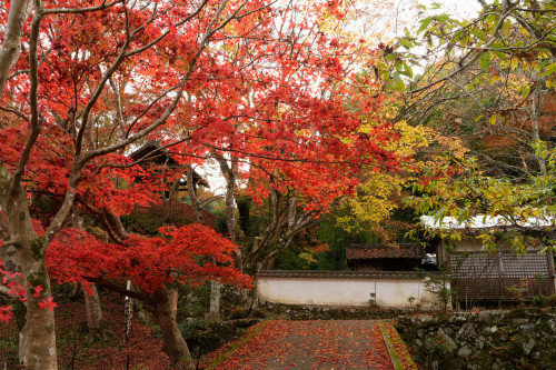 紅の山寺_e0366896_23270738.jpg