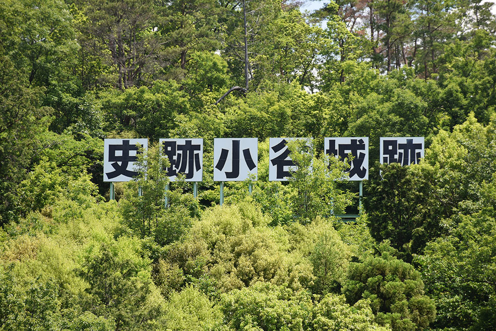 続・北近江、小谷城～大嶽城攻城記。　前編　＜登山口～出丸～番所跡＞_e0158128_14482889.jpg