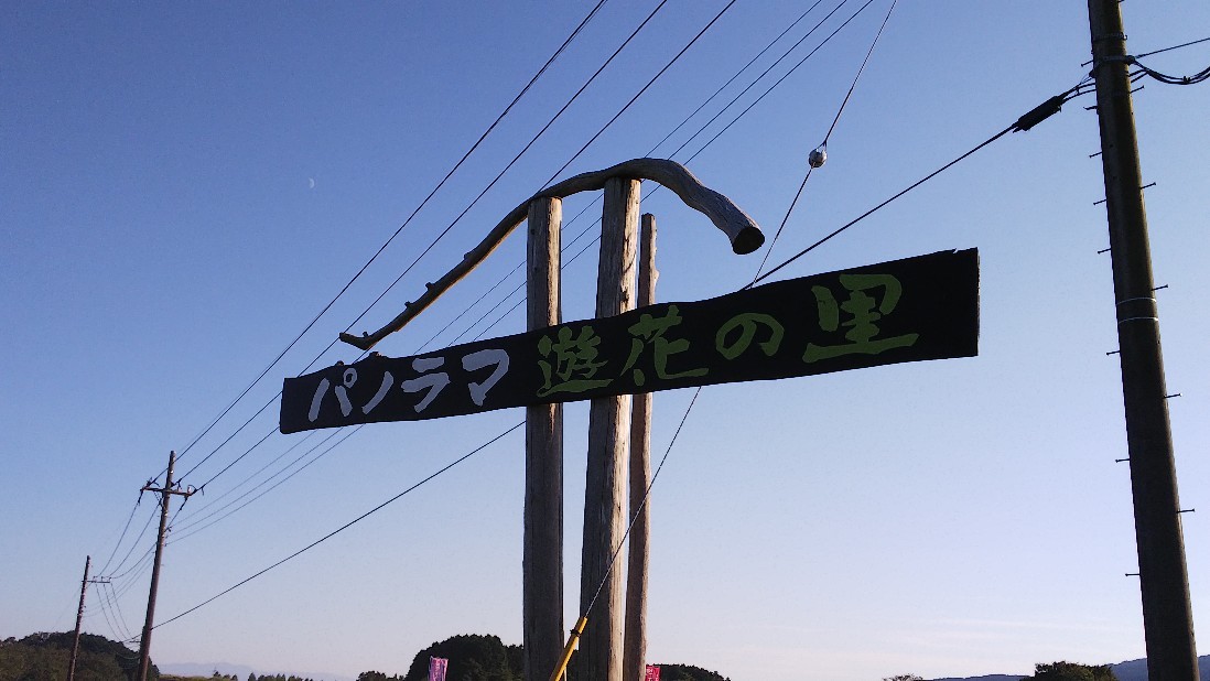 富士山すそのパノラマロード　コスモスまつり　その２_c0404632_05481968.jpg