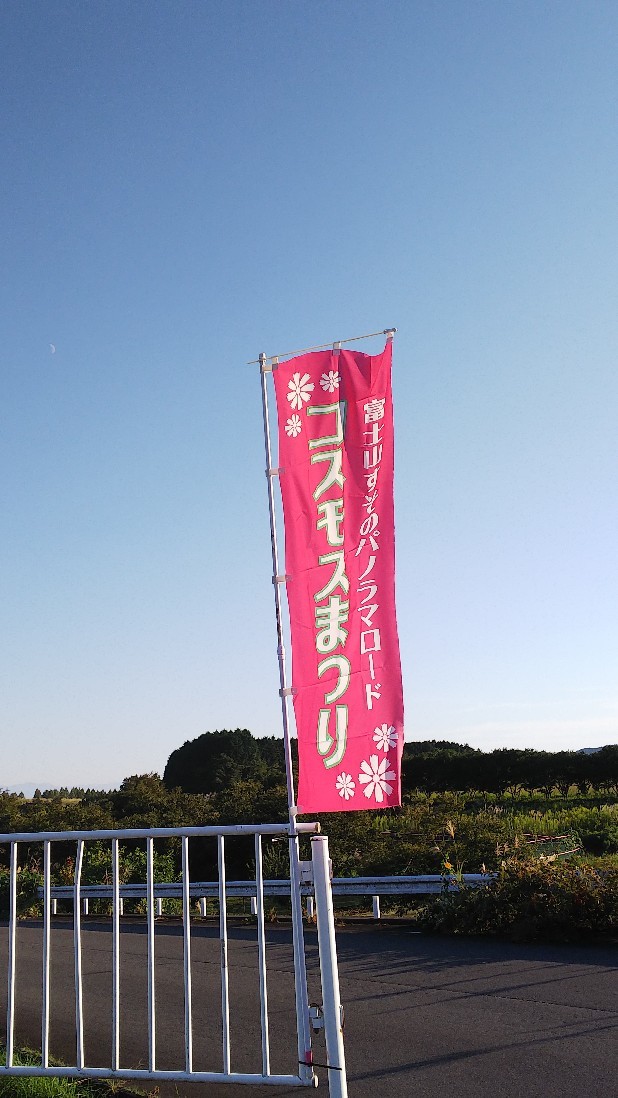 富士山すそのパノラマロード　コスモスまつり　その２_c0404632_05482937.jpg