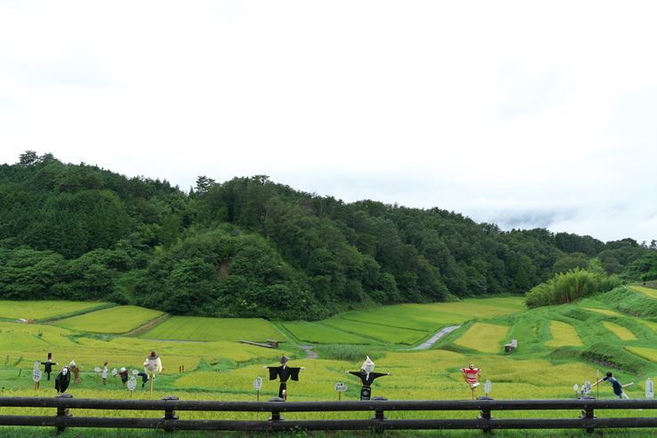 南信州の旅　よこね田んぼ_e0170058_19445655.jpg