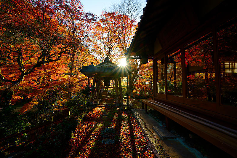 2024年京都の紅葉＠杉坂　地蔵院_f0032011_18570300.jpg