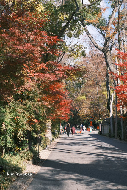 昨年の京都＊賀茂御祖神社（下鴨神社）の紅葉_b0402360_11030937.jpg