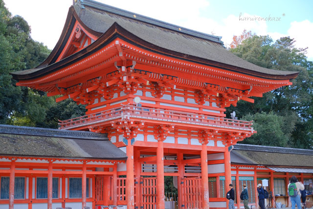 昨年の京都＊賀茂御祖神社（下鴨神社）の紅葉_b0402360_11031488.jpg