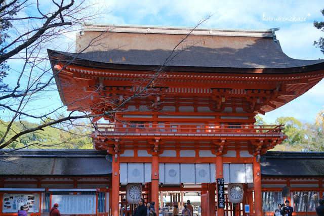 昨年の京都＊賀茂御祖神社（下鴨神社）の紅葉_b0402360_11031694.jpg