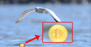 A seagull flies over a body of water with its wings spread wide. An enlarged inset shows a gold Bitcoin symbol highlighted in the center, indicated by a red arrow from a smaller coin image in the bottom left corner.