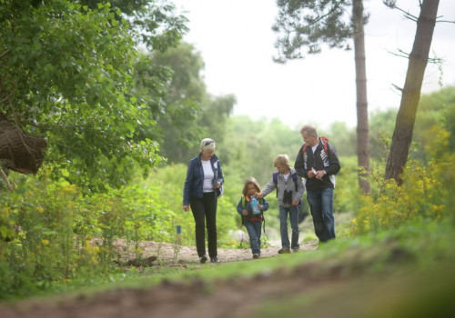 A beautiful piece of nature in De Westhoek Nature Reserve