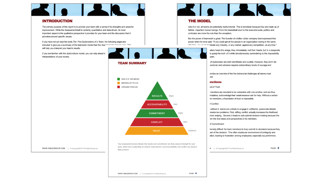 A few sample pages from The Table Group's report, including and intro page and a team summary page