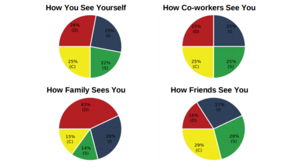 Pie charts extracted from a DISC assessment report