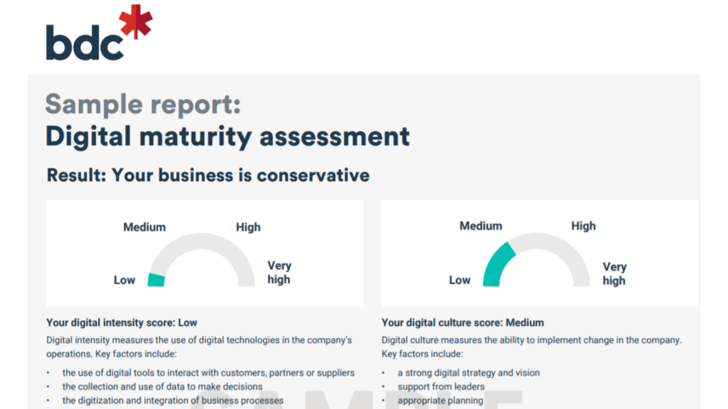 A digital maturity assessment result represented by an infographic chart