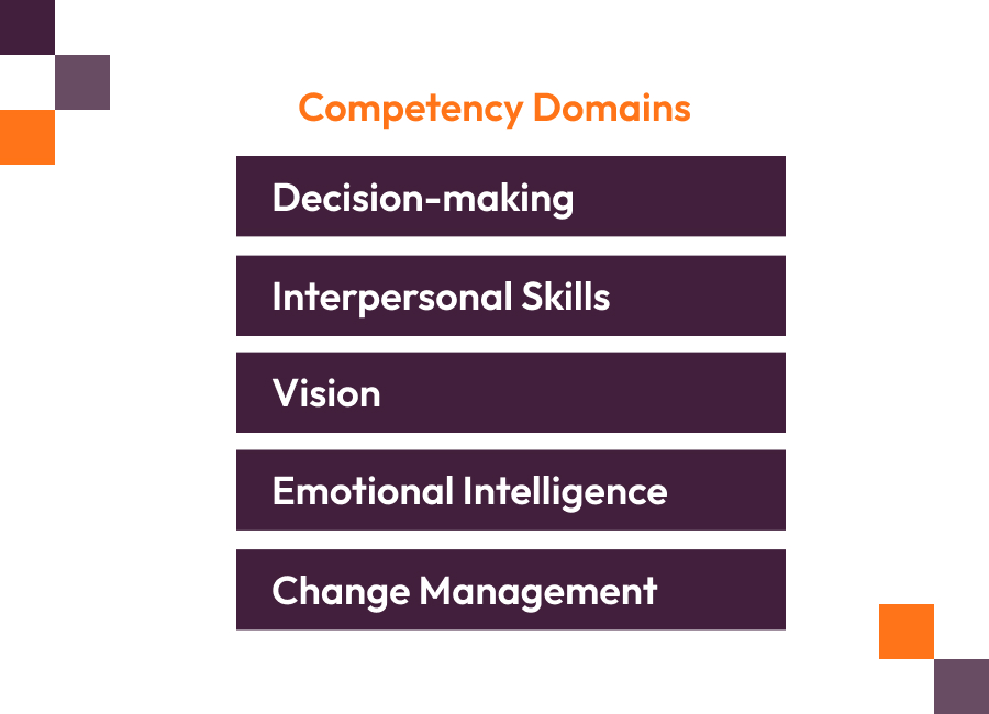 Competency domains