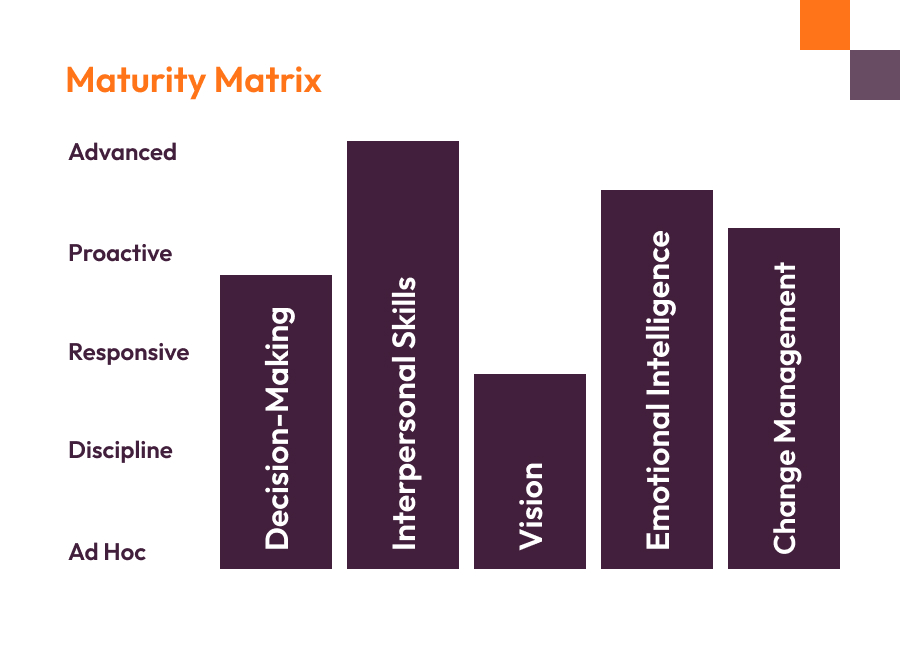 Maturity Matrix