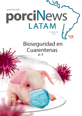 Revista porciNews LATAM – Noviembre 2020