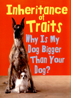 Inheritance of traits: why is my dog bigger than your dog?