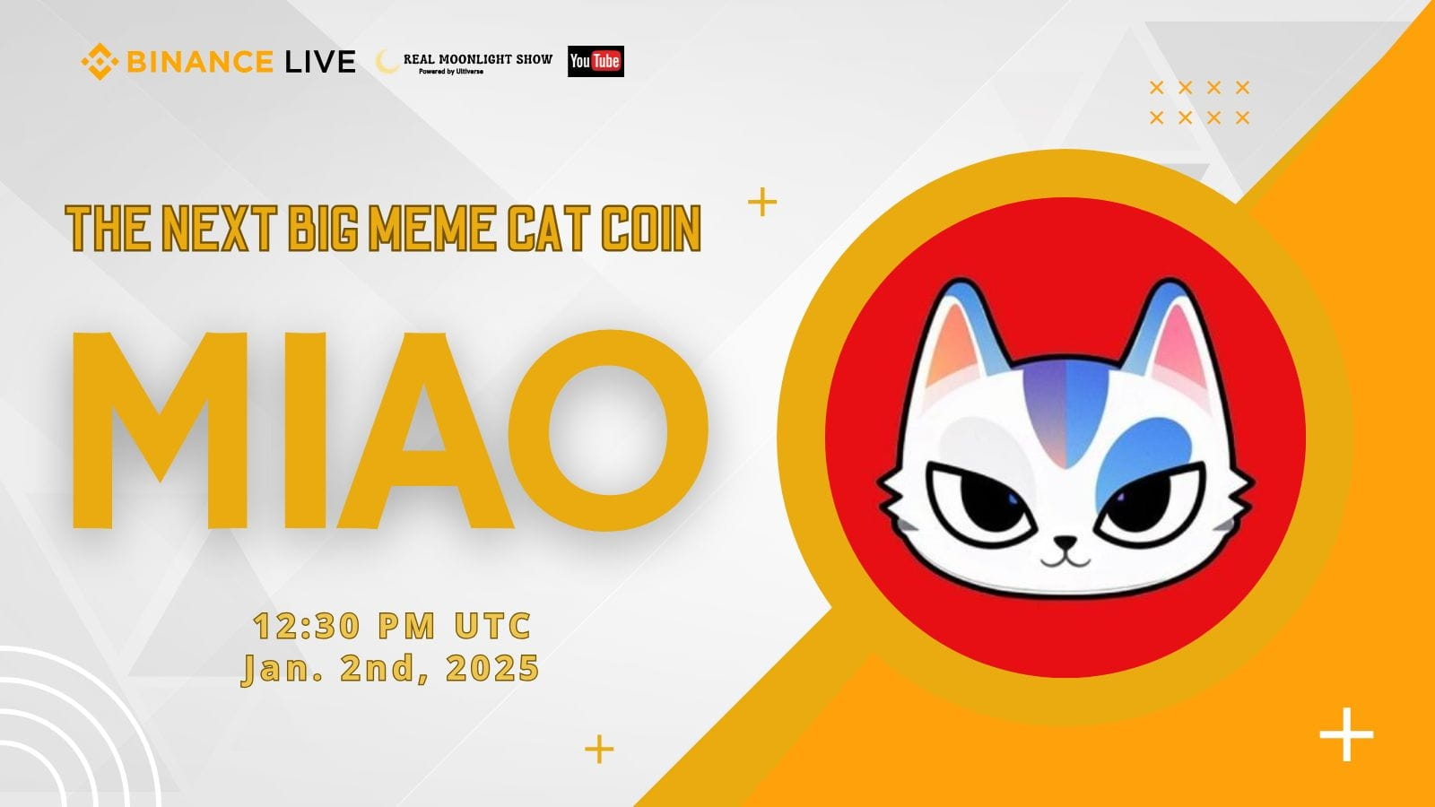 Crypto Rain! Miao: The Next Big Meme Cat Coin