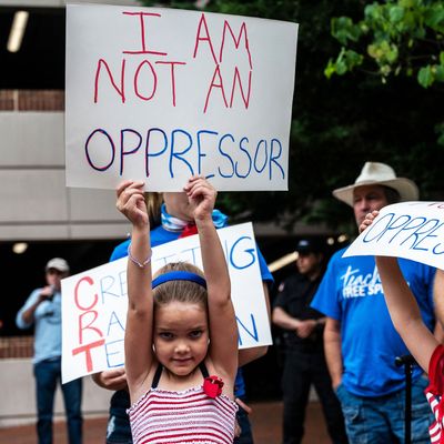 Anti-'critical race theory' protesters.