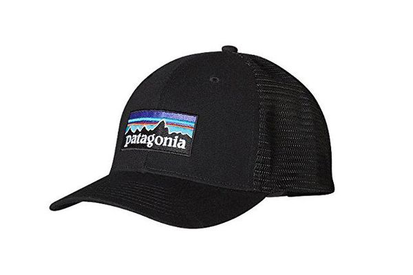 Patagonia Trucker Hat