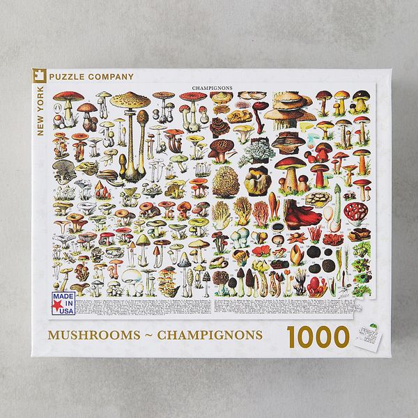 Mushroom Field Guide Puzzle