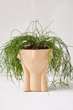 Urban Outfitters Hector Face Planter