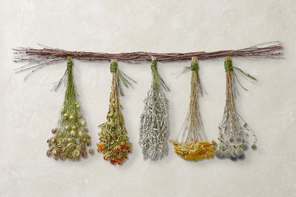 Williams Sonoma Hanging Herbs & Flowers