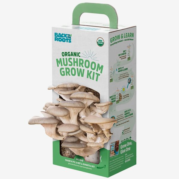 Back to the Roots Organic Mushroom Growing Kit