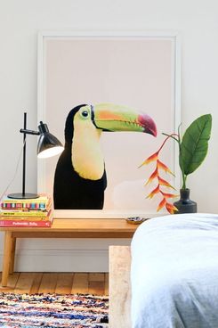 Sisi And Seb Toucan Art Print